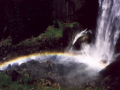 Regenbogen